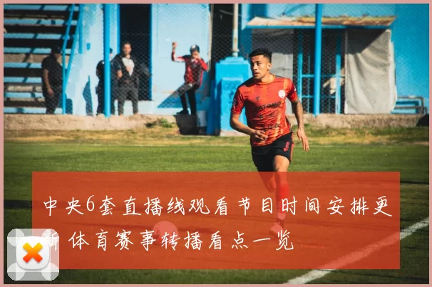 中央6套直播线观看节目时间安排更新 体育赛事转播看点一览