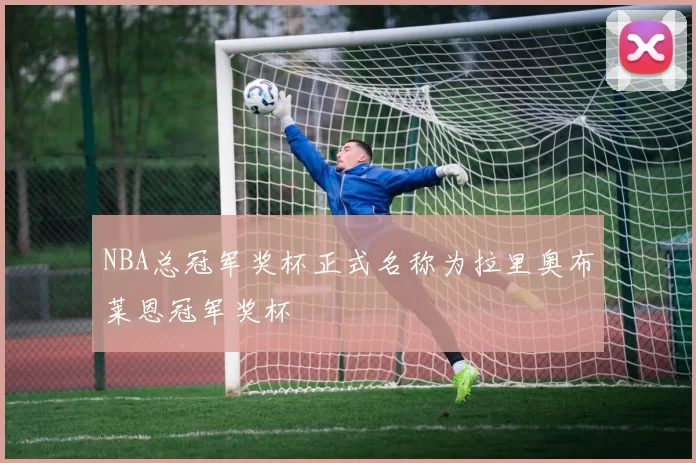 NBA总冠军奖杯正式名称为拉里奥布莱恩冠军奖杯