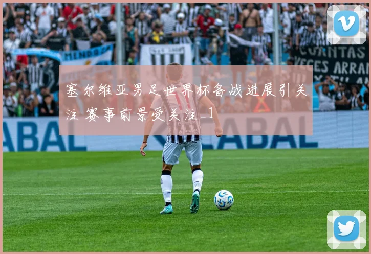 塞尔维亚男足世界杯备战进展引关注 赛事前景受关注_1
