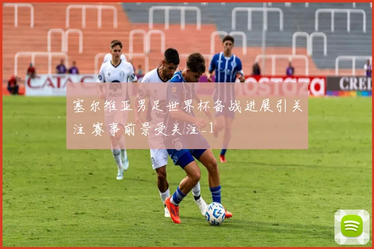 塞尔维亚男足世界杯备战进展引关注 赛事前景受关注_1