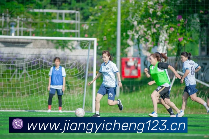 数据防护可视化